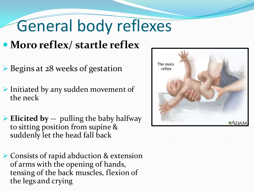 moro-reflex-joy-of-life